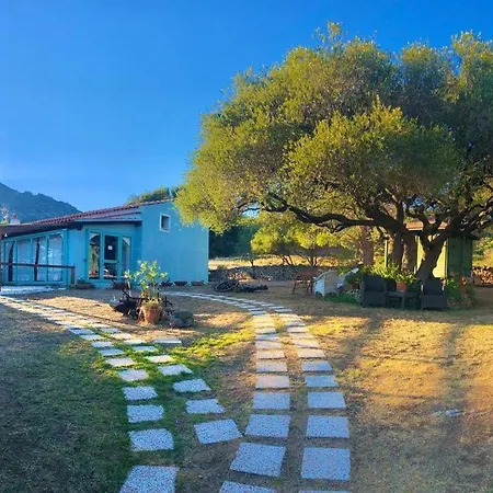 Nina E Lu Entu Di Supra * مارينا دي بورتيسكو