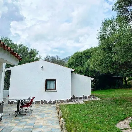 Nina E Lu Entu Di Supra